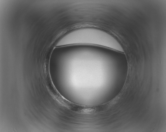 X0000081310158200701111011