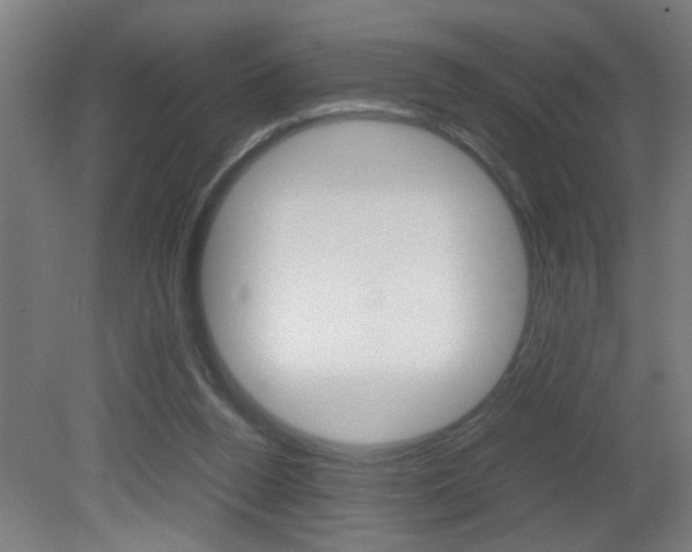 X0000081310160200701111011