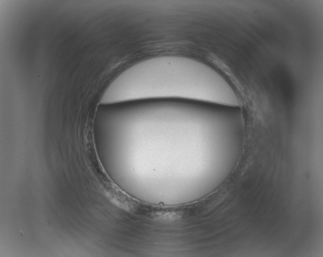 X0000081310161200701111011