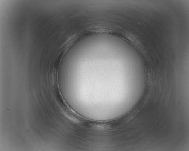 X0000081310165200701111012