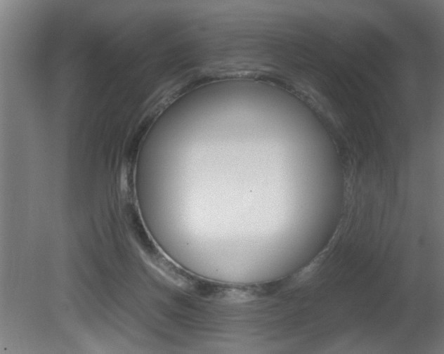 X0000081310166200701111012
