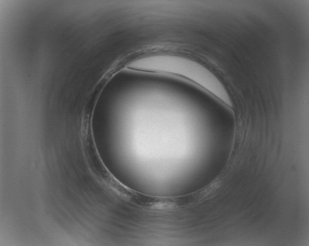 X0000081310168200701111012