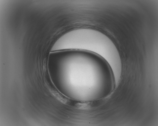 X0000081310170200701111012