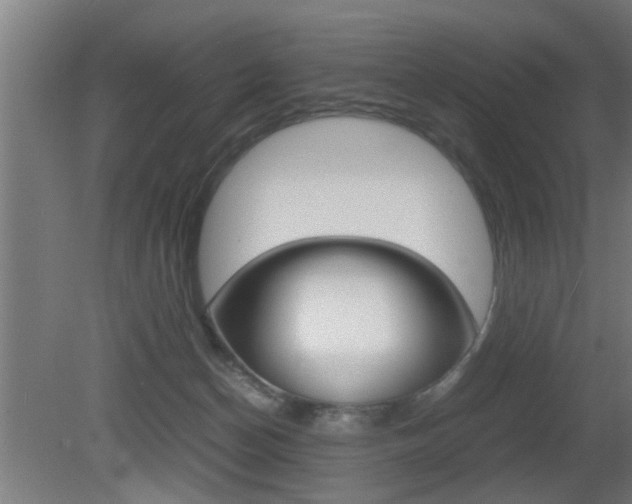 X0000081310174200701111012