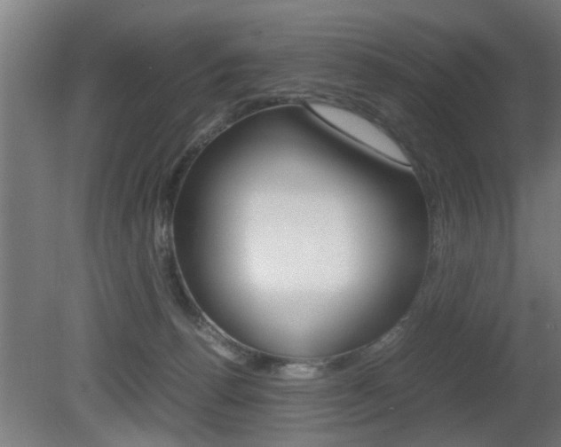 X0000081310176200701111012