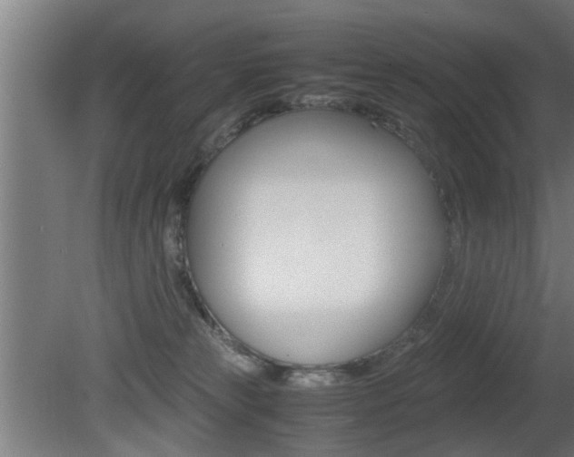 X0000081310181200701111012