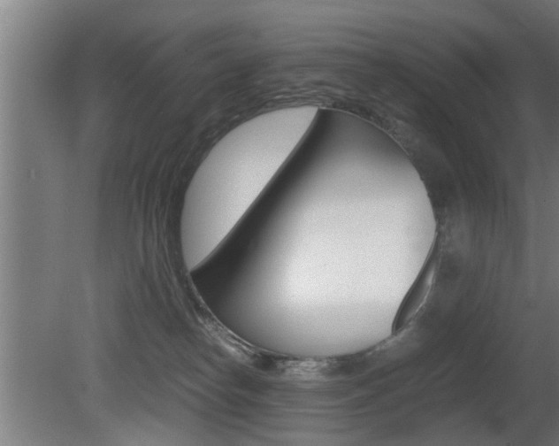 X0000081310182200701111012