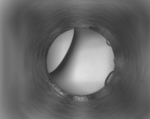 X0000081310185200701111012