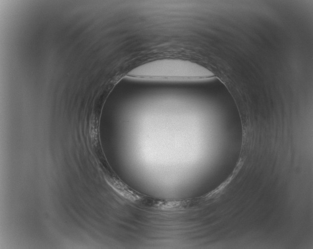 X0000081310186200701111012