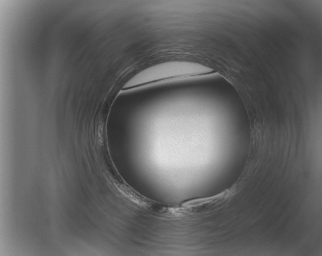 X0000081310188200701111012