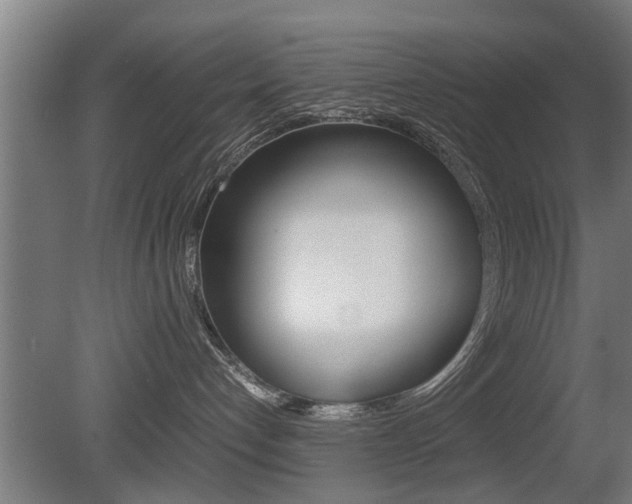 X0000081310192200701111012