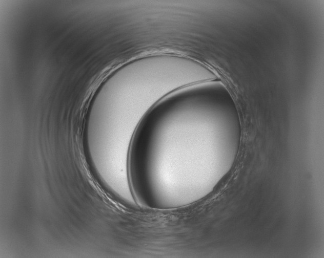 X0000081310193200701111011