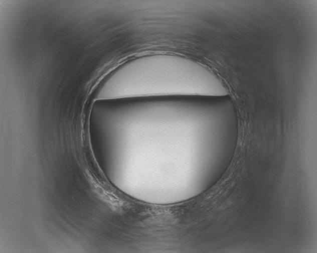X0000081310194200701111011