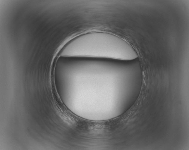 X0000081310196200701111011