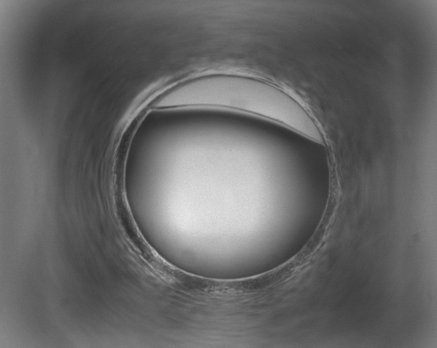 X0000081310199200701111011