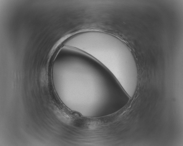 X0000081310200200701111011