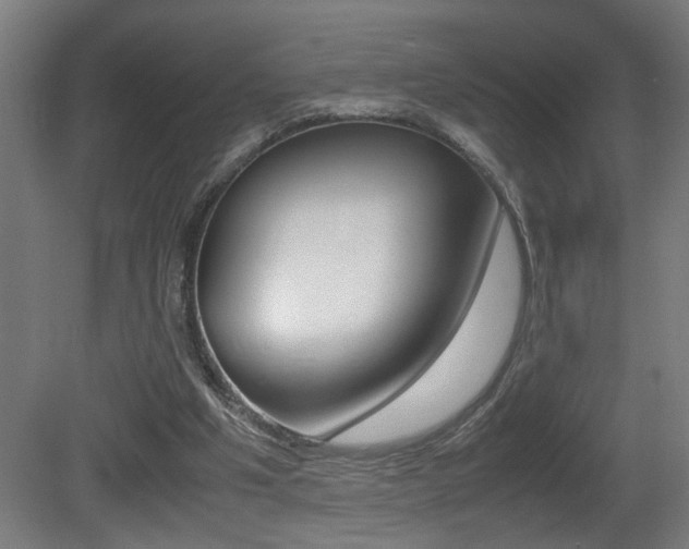 X0000081310201200701111011
