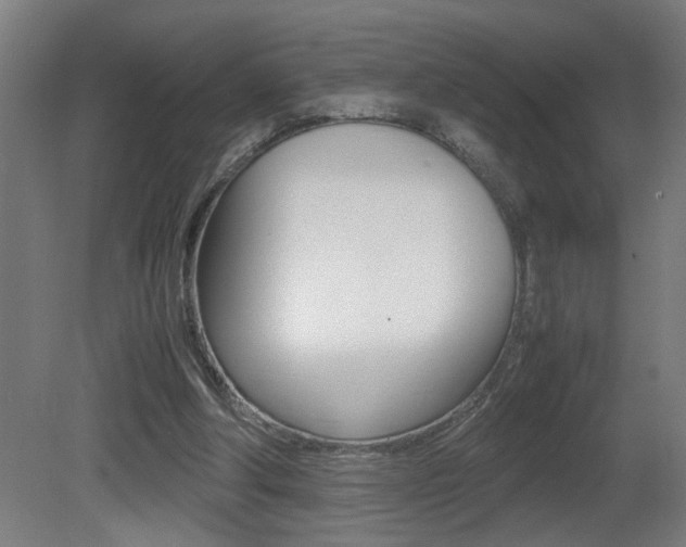 X0000081310202200701111011