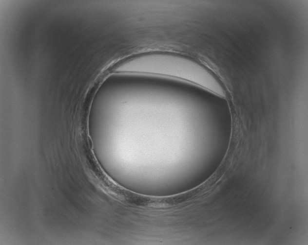 X0000081310203200701111011