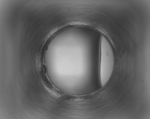 X0000081310204200701111011