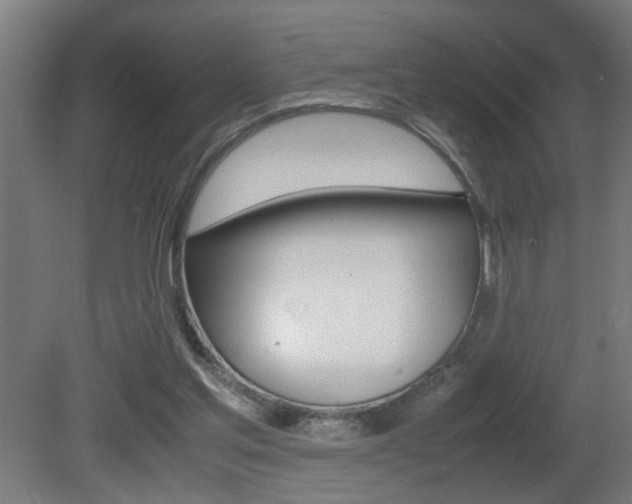 X0000081310205200701111011