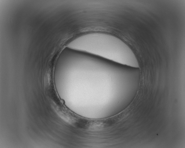X0000081310206200701111011
