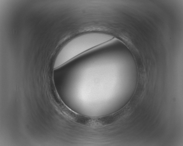 X0000081310207200701111011