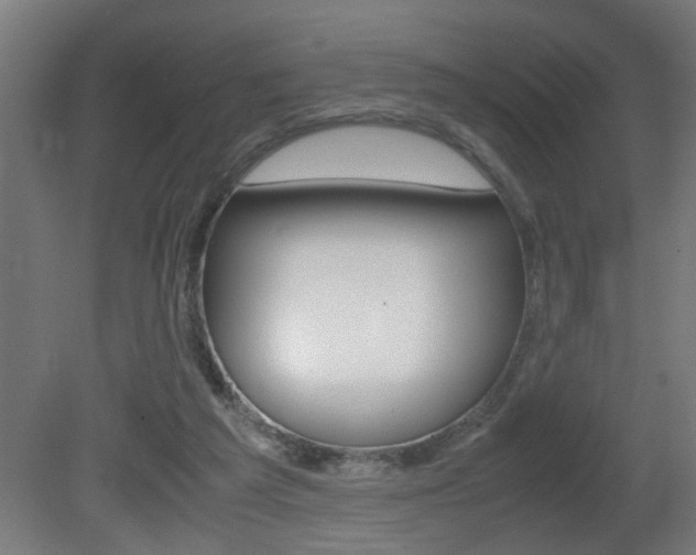 X0000081310209200701111011