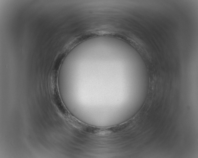X0000081310210200701111011