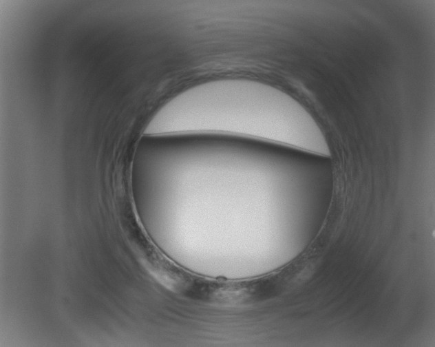 X0000081310213200701111011