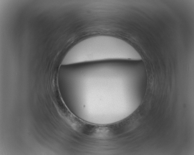 X0000081310214200701111011
