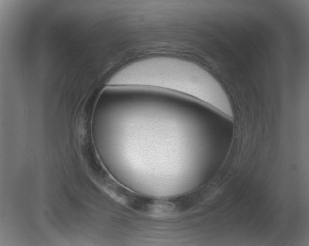 X0000081310215200701111011