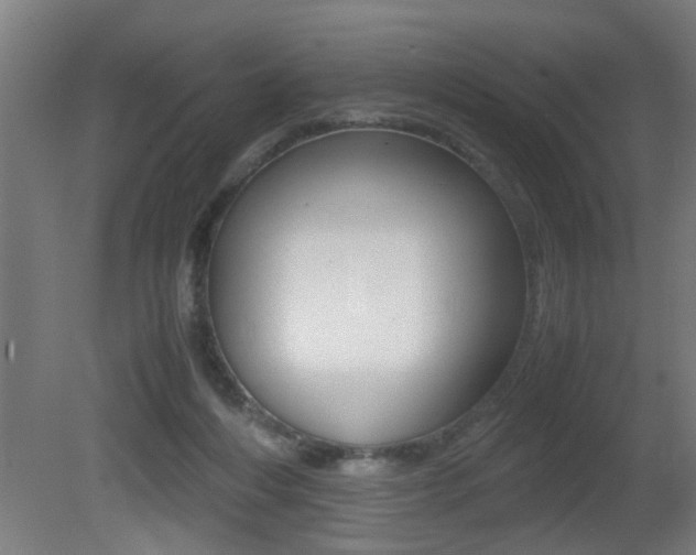 X0000081310216200701111011