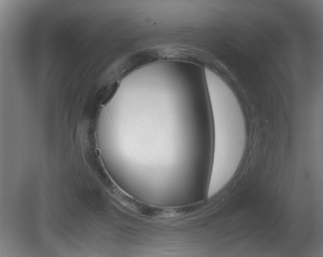 X0000081310217200701111011
