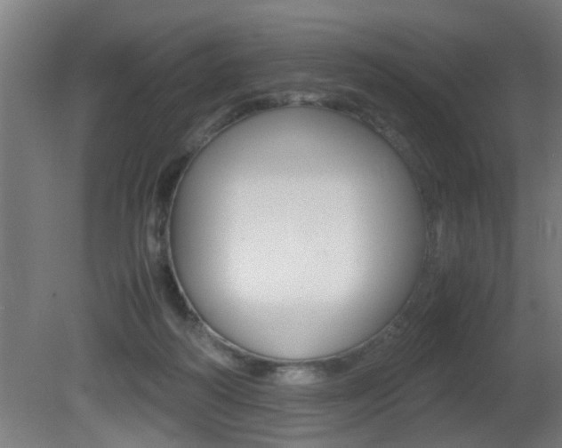 X0000081310218200701111011