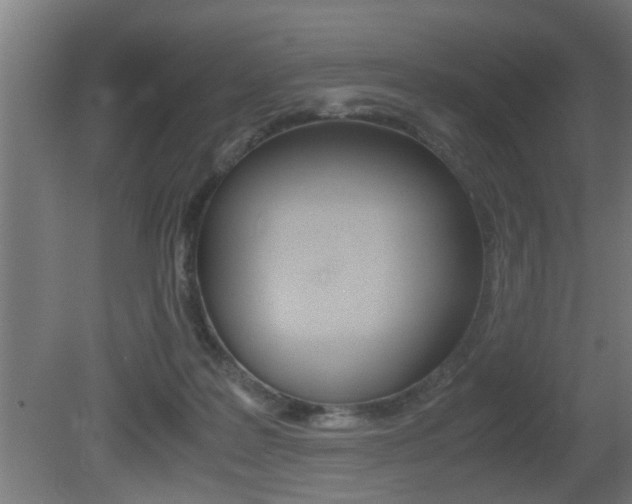 X0000081310219200701111011