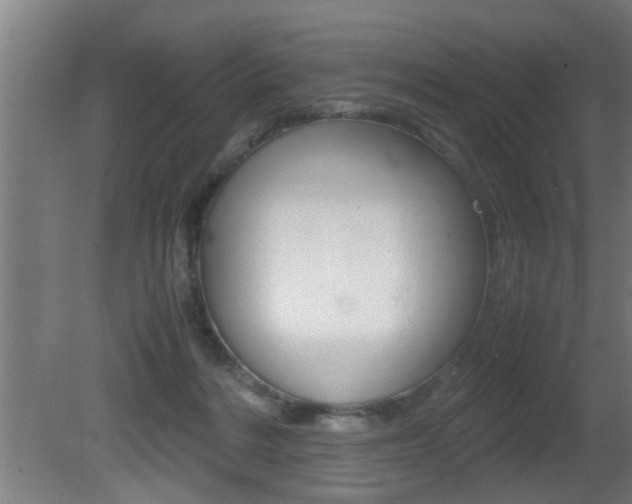 X0000081310220200701111011
