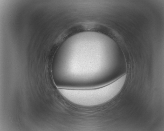 X0000081310221200701111011