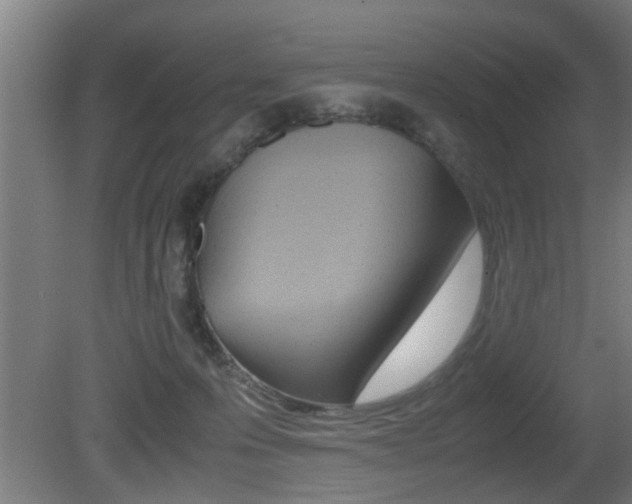 X0000081310223200701111011