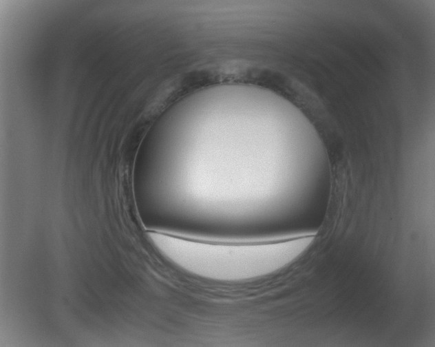 X0000081310225200701111011