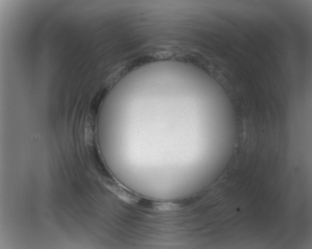 X0000081310226200701111011