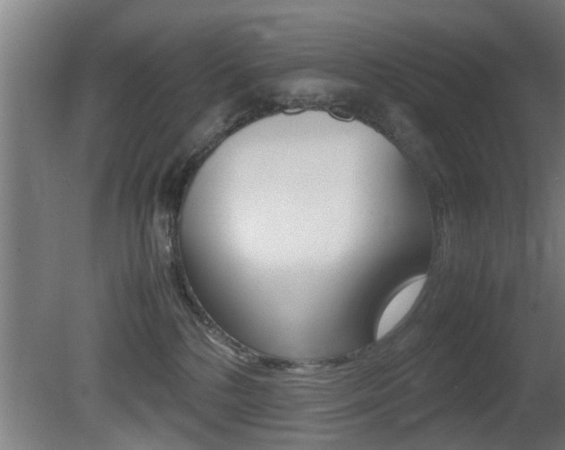 X0000081310232200701111010
