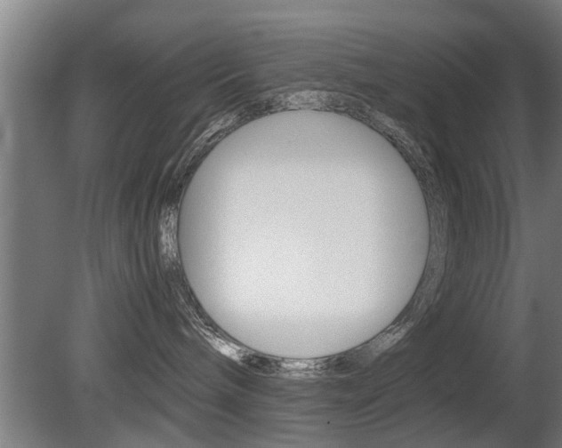X0000081310240200701111010