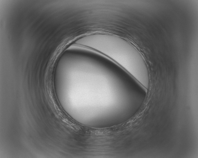 X0000081310241200701111010