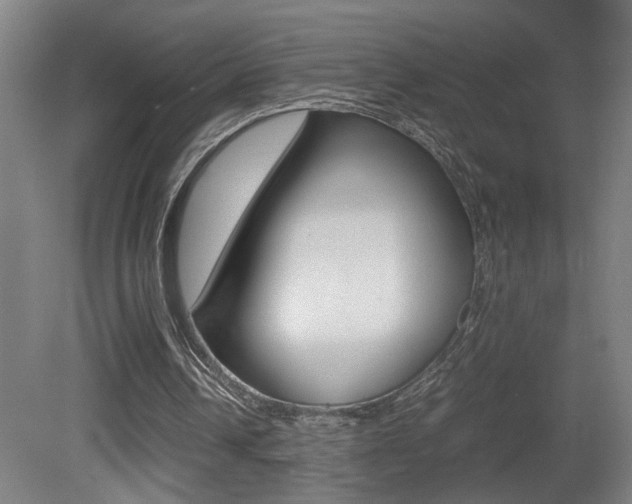 X0000081310242200701111010