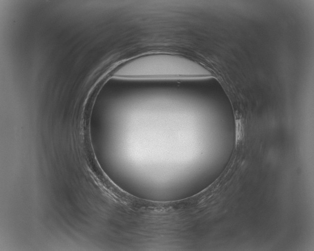 X0000081310243200701111010
