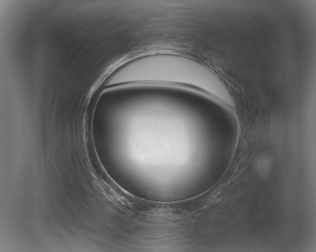 X0000081310244200701111010