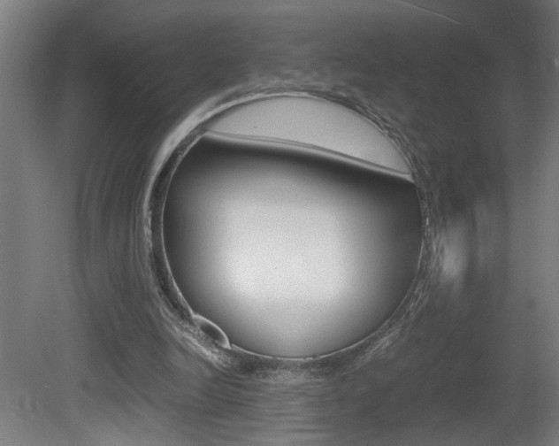 X0000081310246200701111010