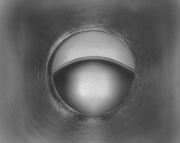 X0000081310248200701111010