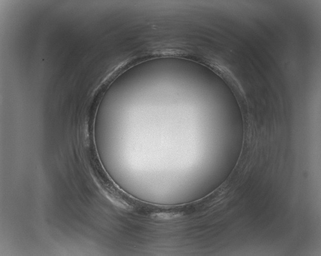 X0000081310251200701111010